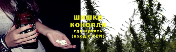 прущая мука Гусиноозёрск