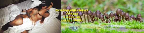 прущая мука Гусиноозёрск