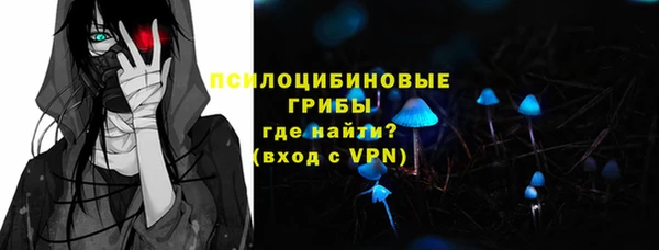 альфа пвп Гусь-Хрустальный