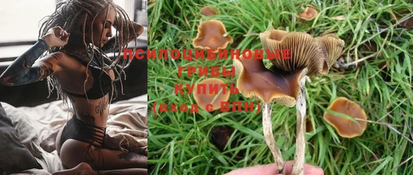 прущая мука Гусиноозёрск