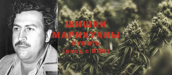 прущая мука Гусиноозёрск