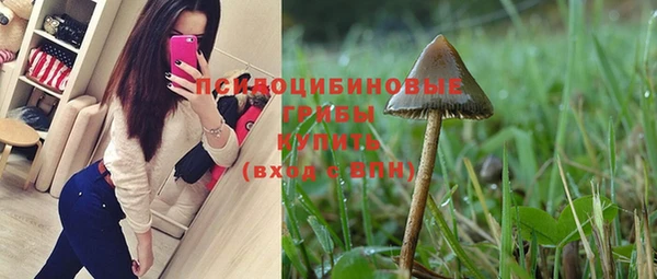 винт Гусев