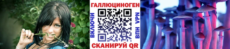 MEGA как зайти  Южа  Псилоцибиновые грибы Magic Shrooms 